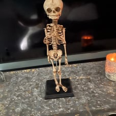 Baby fetal skeleton decoration