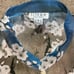 Citron Santa Monica Asian Floral Mandarin Notch Collar Silk Kimono Blouse 3X