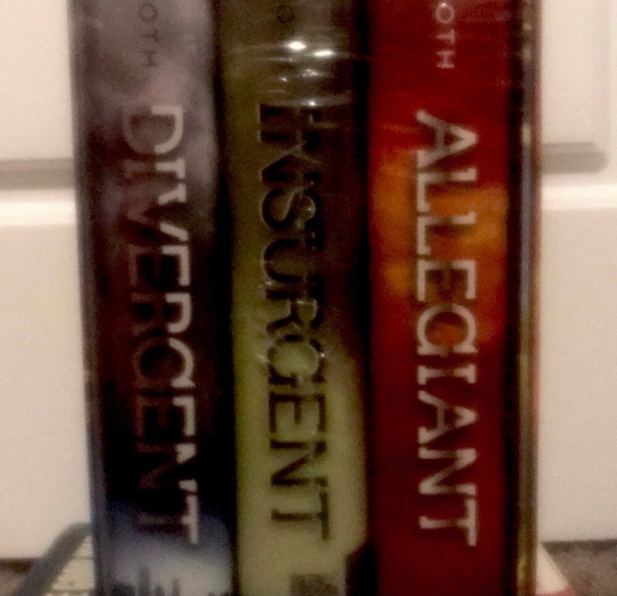 The divergent series