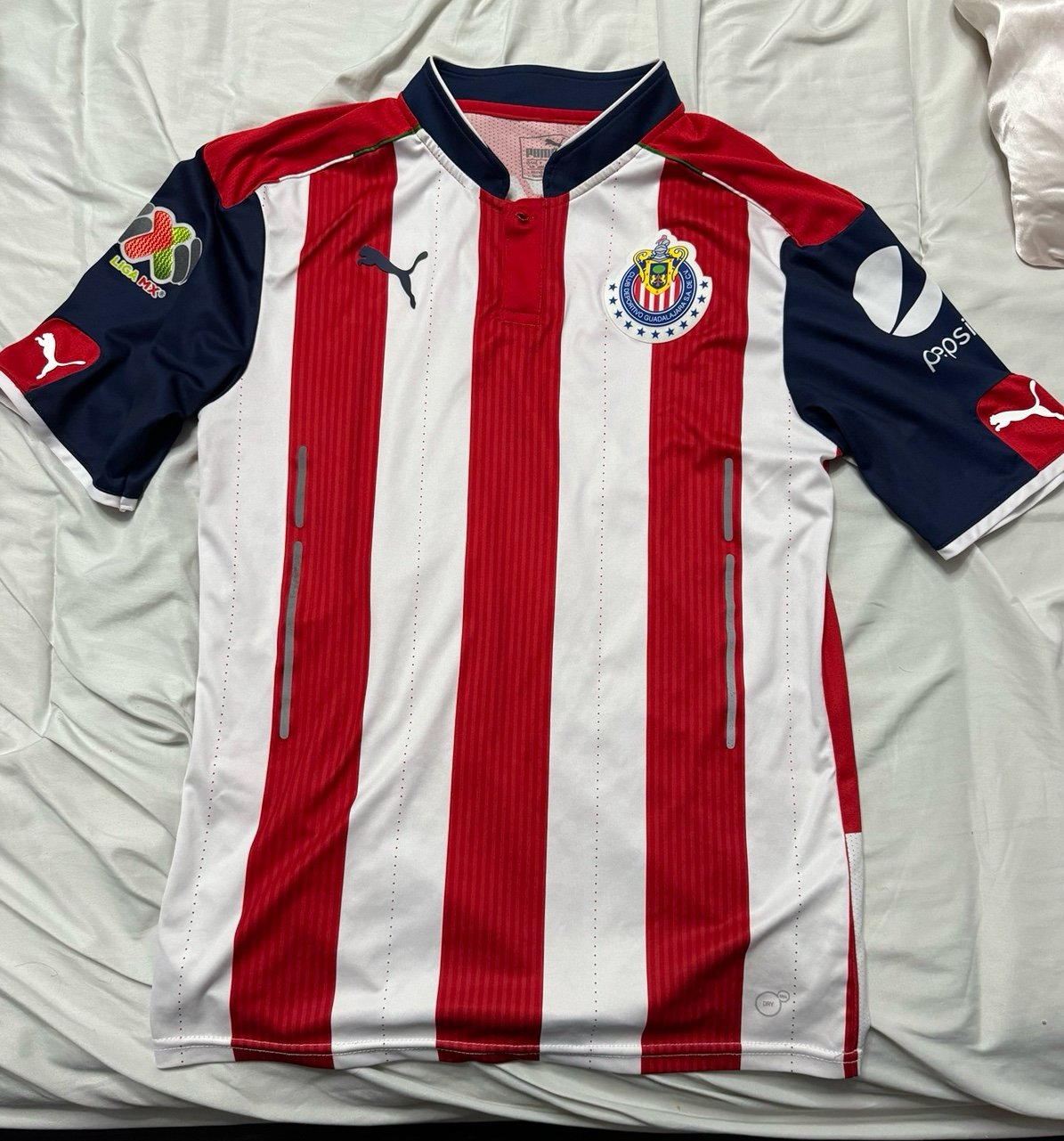 chivas de guadalajara