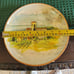 Williams Sonoma 2008 Marc Lacaze Italy Paysage 9 1/2 SINGLE Salad Plate