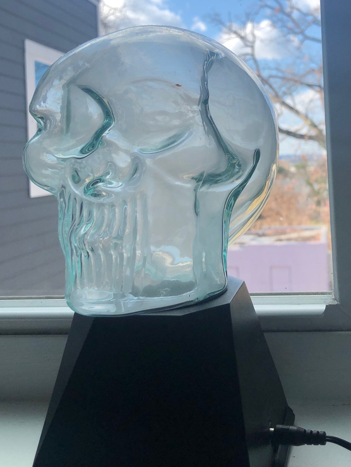 Electronic Skull