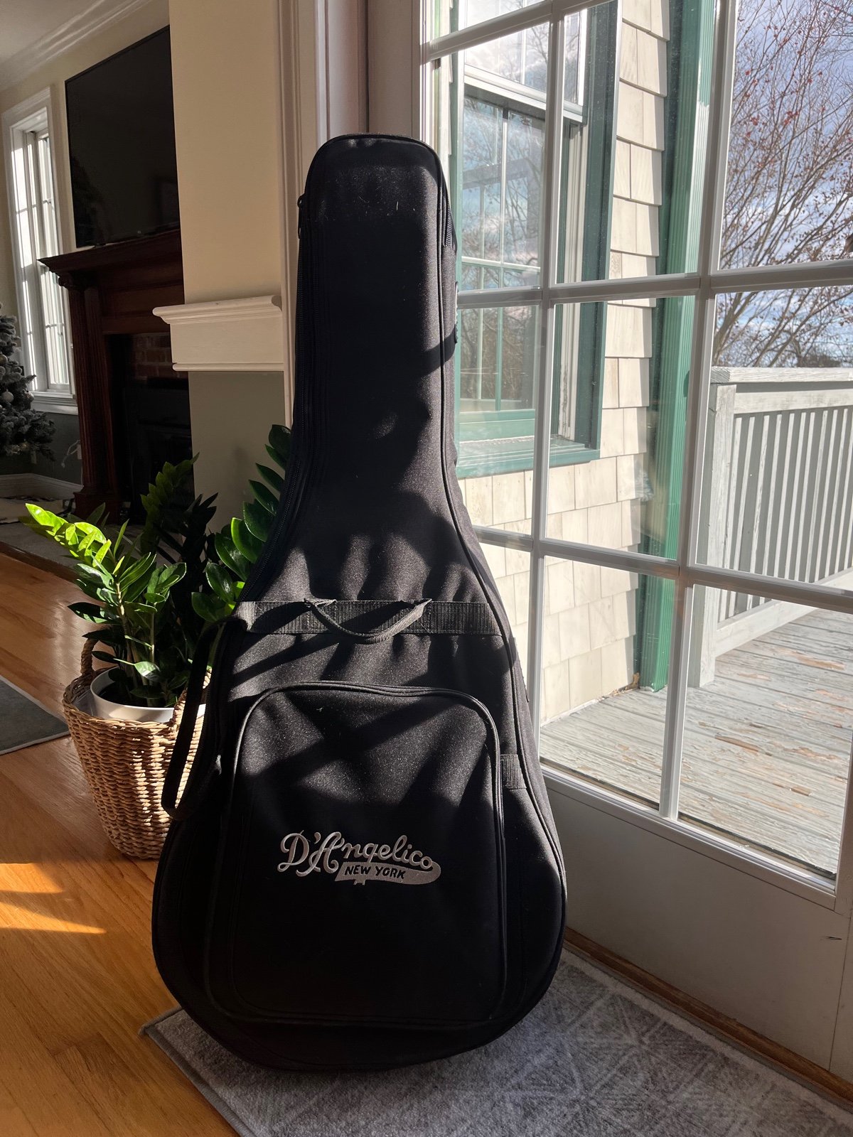 Guitar case