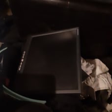 pc monitor