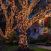 NEW 100 Count Mini Clear Lights 32ft White Wire Christmas Tree String Lights