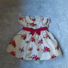 Gymboree Rose Special Ocassion Dress siz