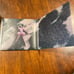 Melanie Martinez K-12 CD/DVD DELUXE package
