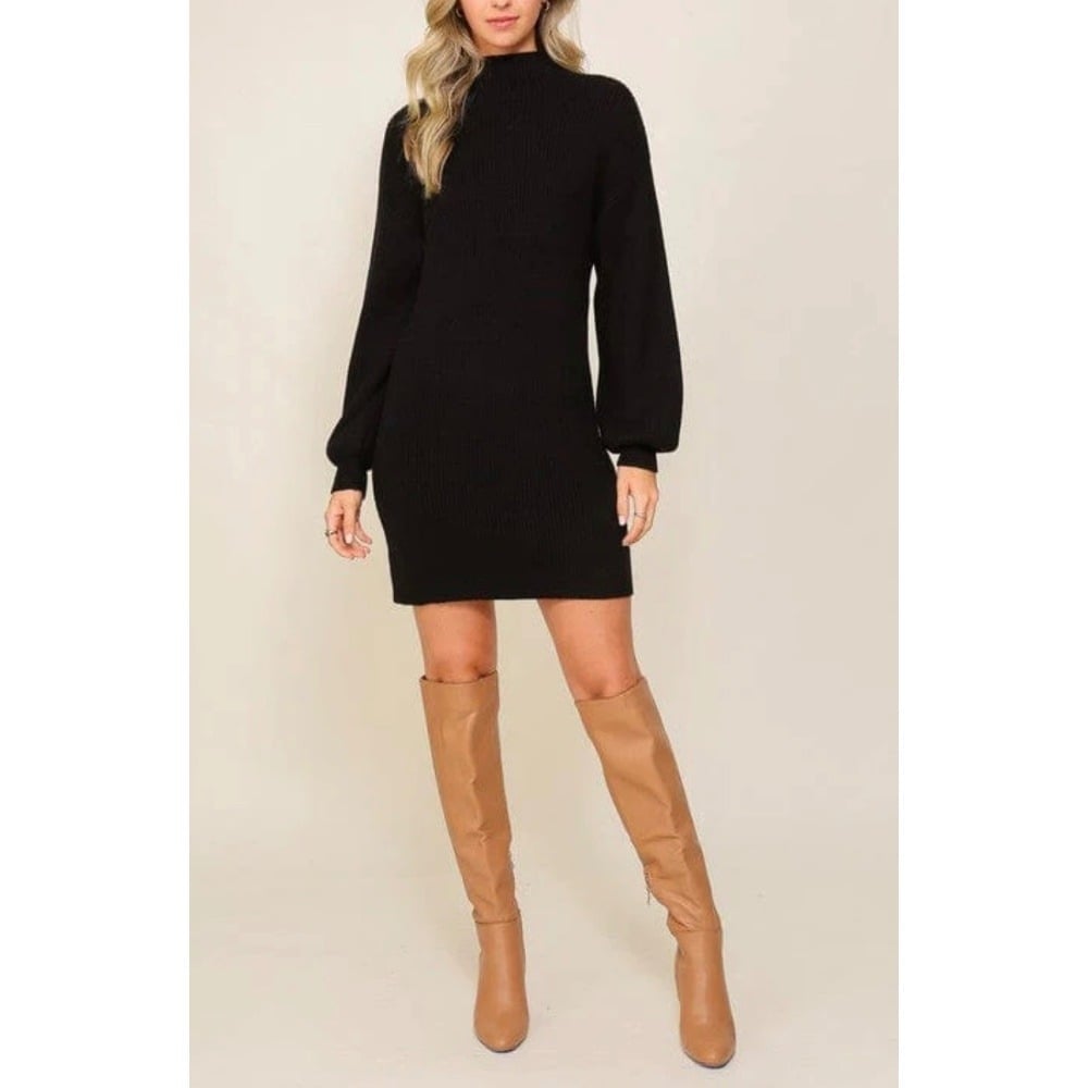 Lumiere Women's Dress Size Small Turtle Neck Long Sleeve #1101