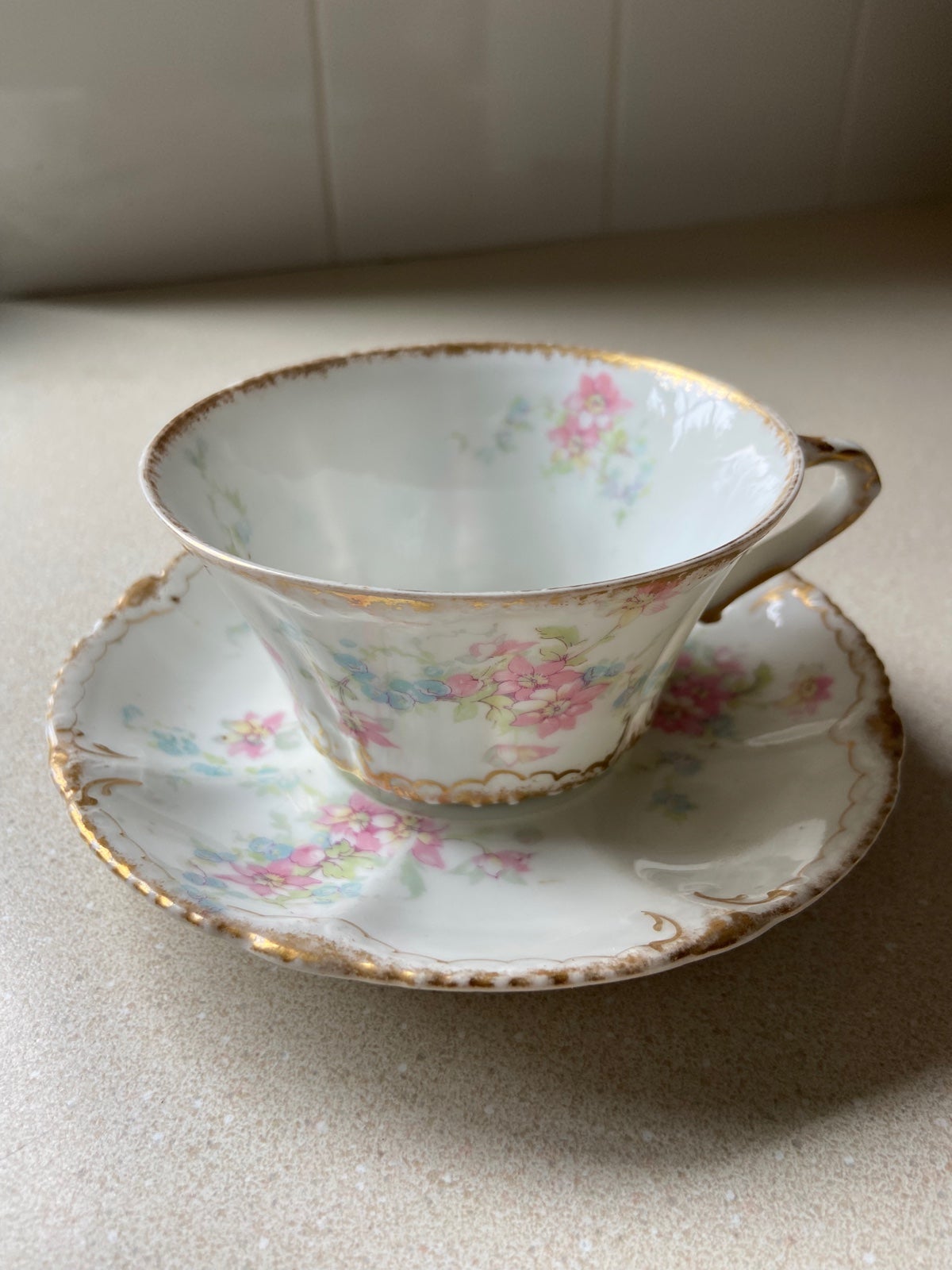 Teacup and Saucer Theodore Haviland Limoge