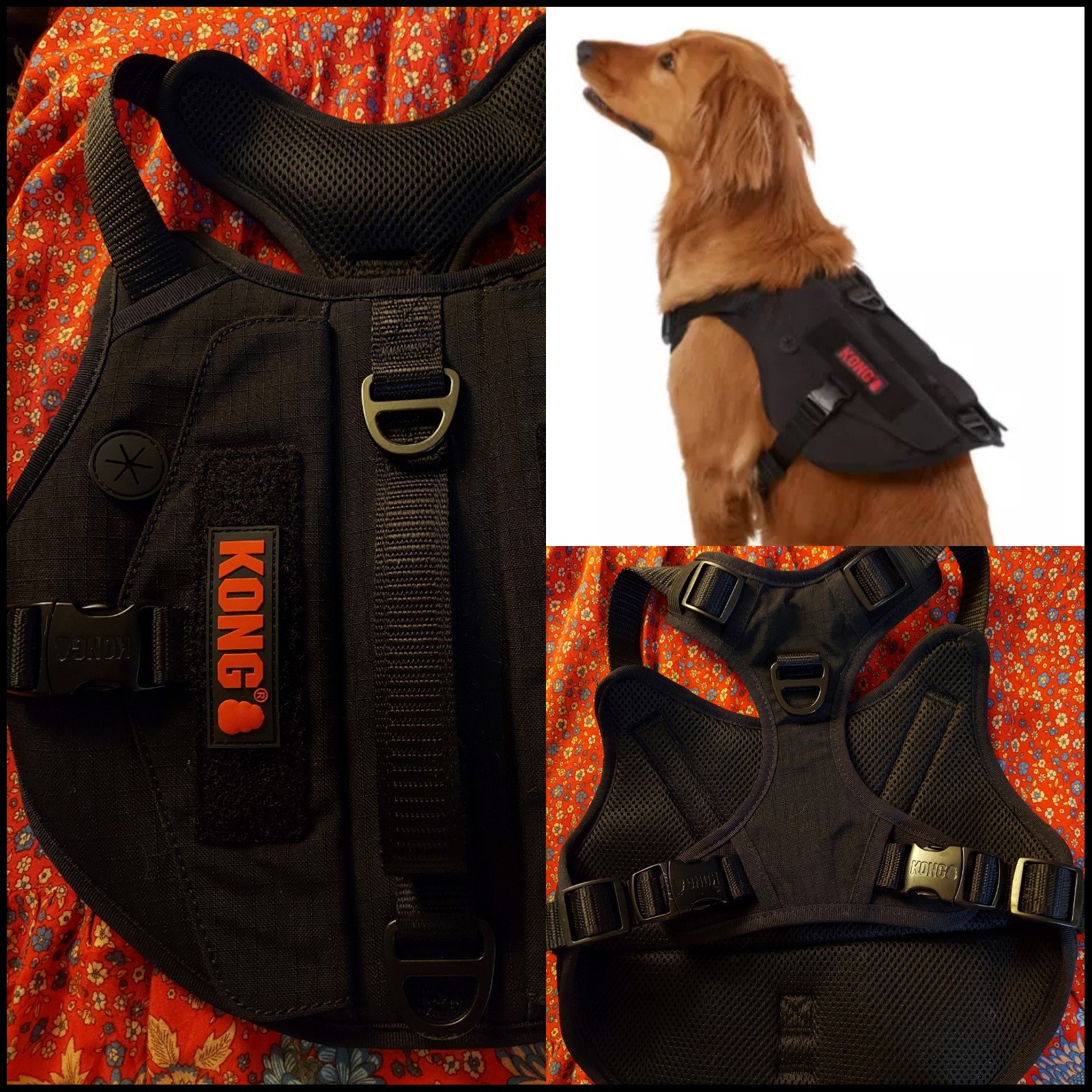 Kong Tactical Vest/Harness • Medium