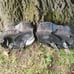 Harley davidson sportster soft bags