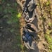 Harley davidson sportster soft bags