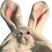 SOFT WHITE BUNNY RABBIT COSTUME FOR SMALL DOG CAT ANIMAL NEW SPOT INSIDE