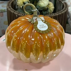 pumpkin Light up glass pumpkin !