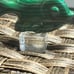 Malachite Fish