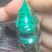 Malachite Fish