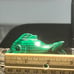 Malachite Fish