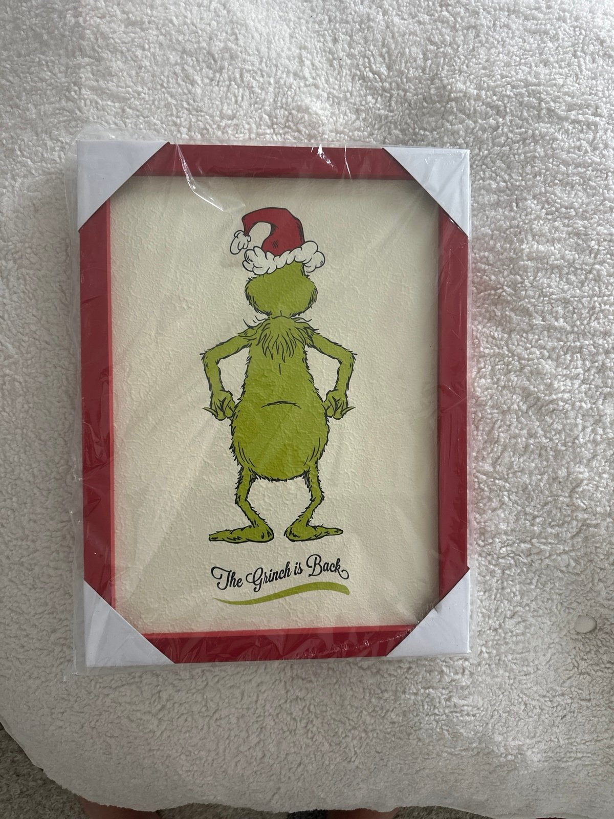 Grinch christmas picture