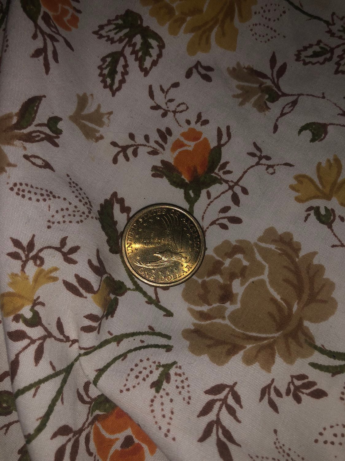 2000-D Sacagawea Dollar Coin