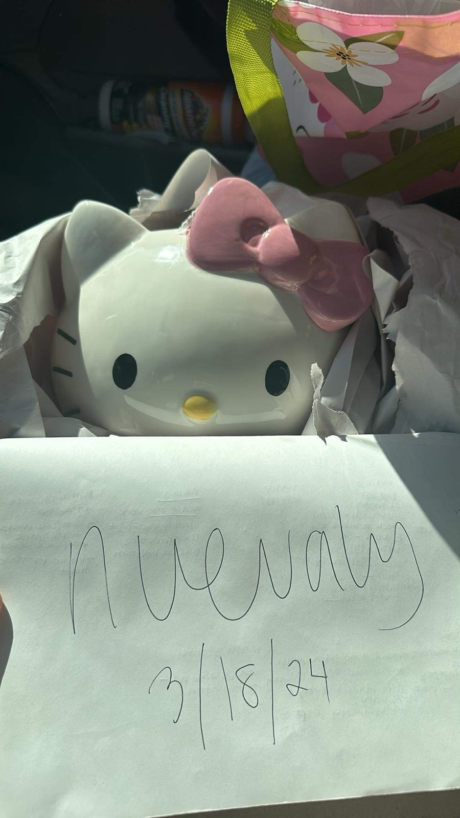 Hello kitty planter