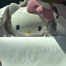 Hello kitty planter