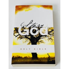 The Story of God Holy Bible New International Version NIV Paperback Book, 1984