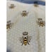 The Cat's Pajamas Queen Bee Lounge Pants Flannel Pajama Sz XL