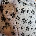Floral Printed Belted Shorts