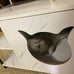 Enclosure Hidden Litter Furniture Cabinet with 2-Tier Storage Shelf L4