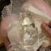 Sasaki crystal squirrel