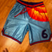 Lebron space jam short