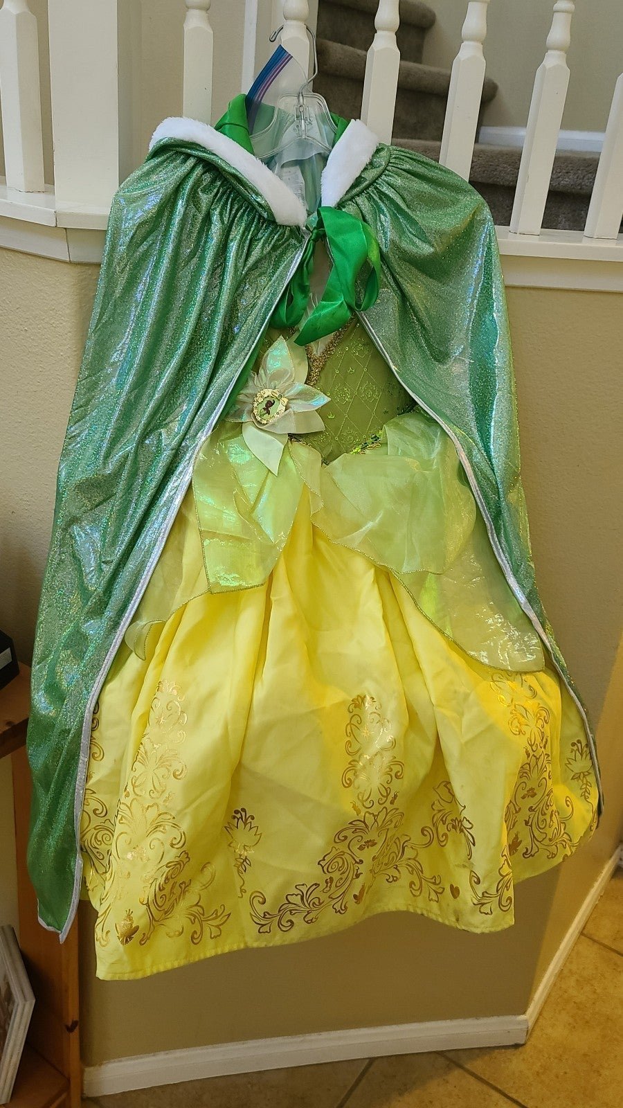 Princess tiana costume