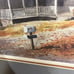 Jim Gray waitin for the family lithograph art print signed numbered framed