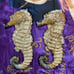 Vintage Pair Of Large BIG 18” Art CERAMIC 3D sea horse nautical Wall Decor ART