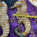 Vintage Pair Of Large BIG 18” Art CERAMIC 3D sea horse nautical Wall Decor ART