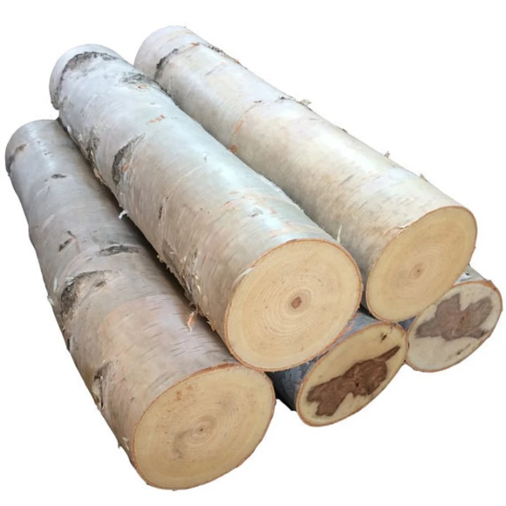 Five 24 White Birch Logs