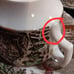 WOOD AND SONS The Post House cup/saucer set