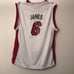 Miami Heat Lebron Jersey