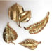 Vtg Brooch Lot Leaf Leaves Goldtone Signed Crown Trifari Kramer Gerrys Daria MCM