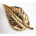 Vtg Brooch Lot Leaf Leaves Goldtone Signed Crown Trifari Kramer Gerrys Daria MCM