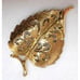 Vtg Brooch Lot Leaf Leaves Goldtone Signed Crown Trifari Kramer Gerrys Daria MCM
