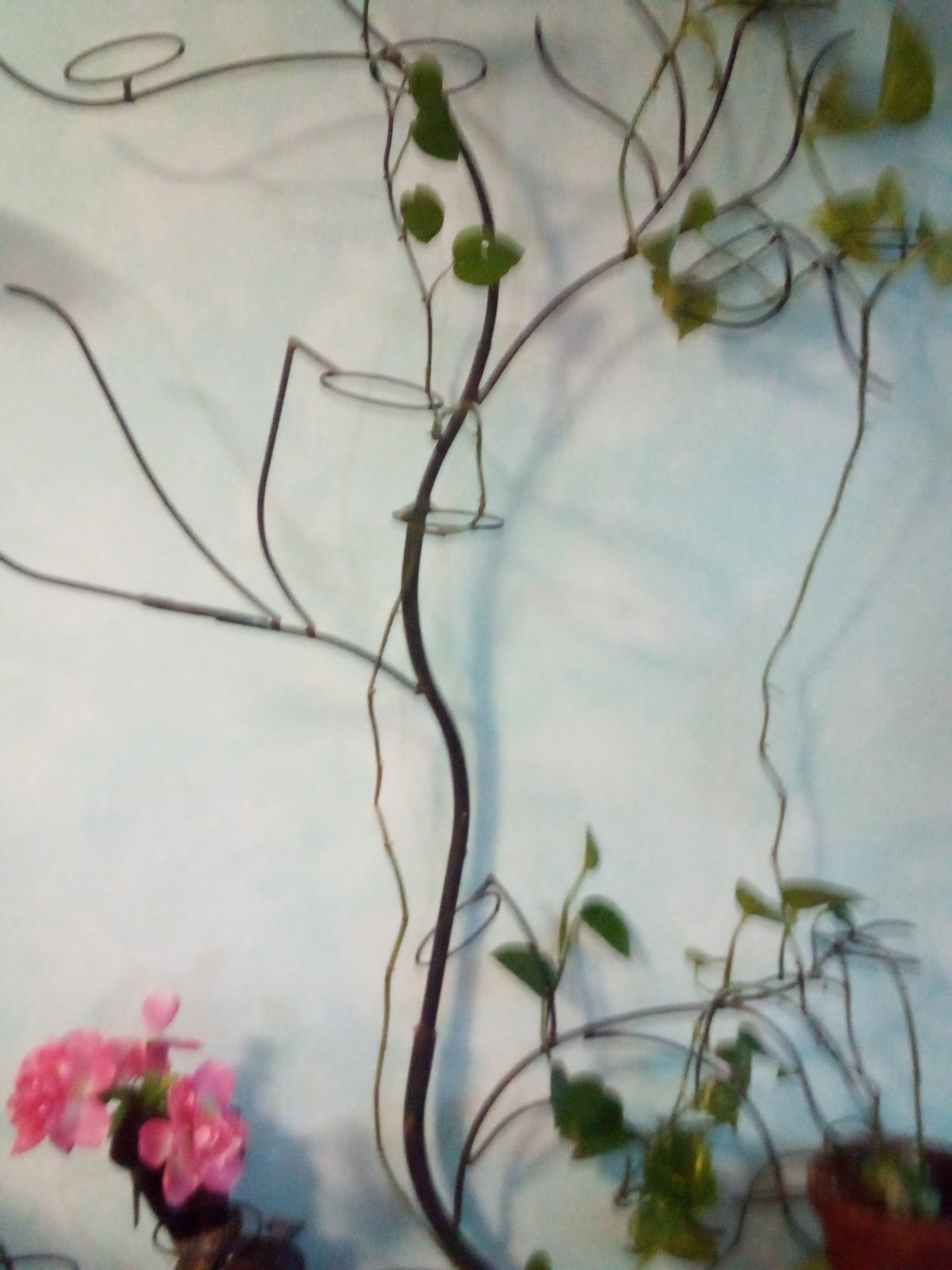 Handmade TallTree Winerack