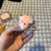 iBLOOM Squishy Bundle (no defects)