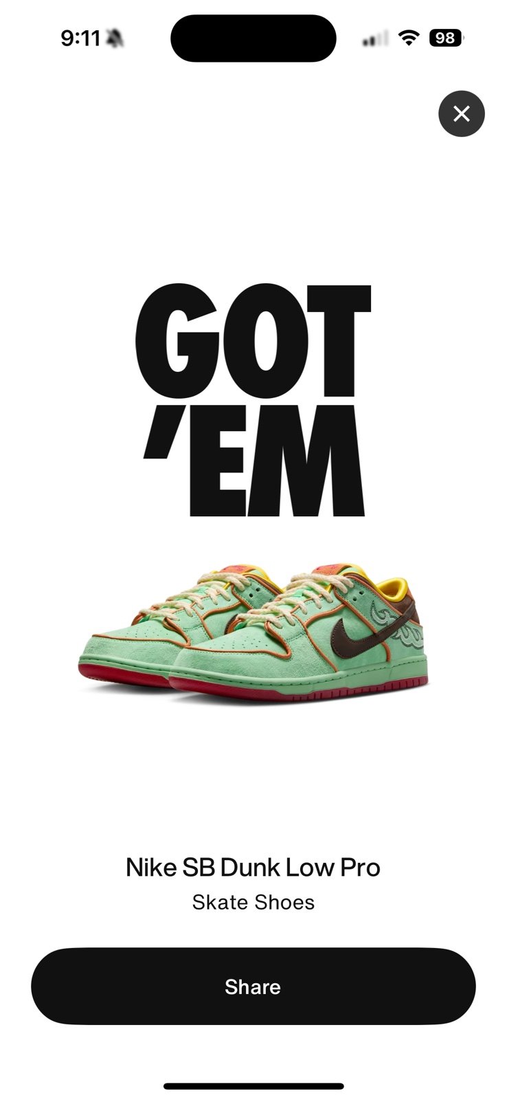 Nike SB Dunk Tourmaline size 9 mens