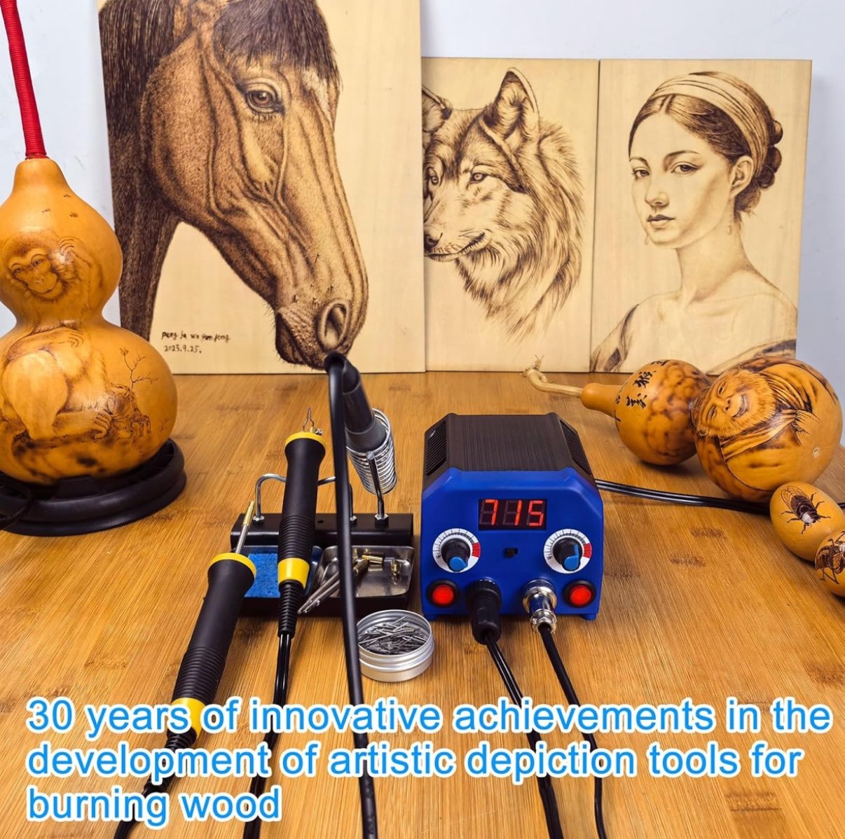 LH55-3-3 Wood Burner kit Wood Burning Tool Pen