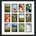 Frame - ArtToFrames Collage Photo Frame