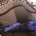 New! Vera Bradley Briefcase