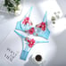 Colorful Lace Lingerie Set Blue