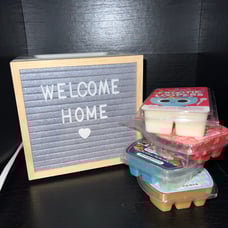 Scentsy Warmer & *FREE* Scentsy Bars