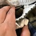 Boden Plaid Pants Lot x7 various sizes.